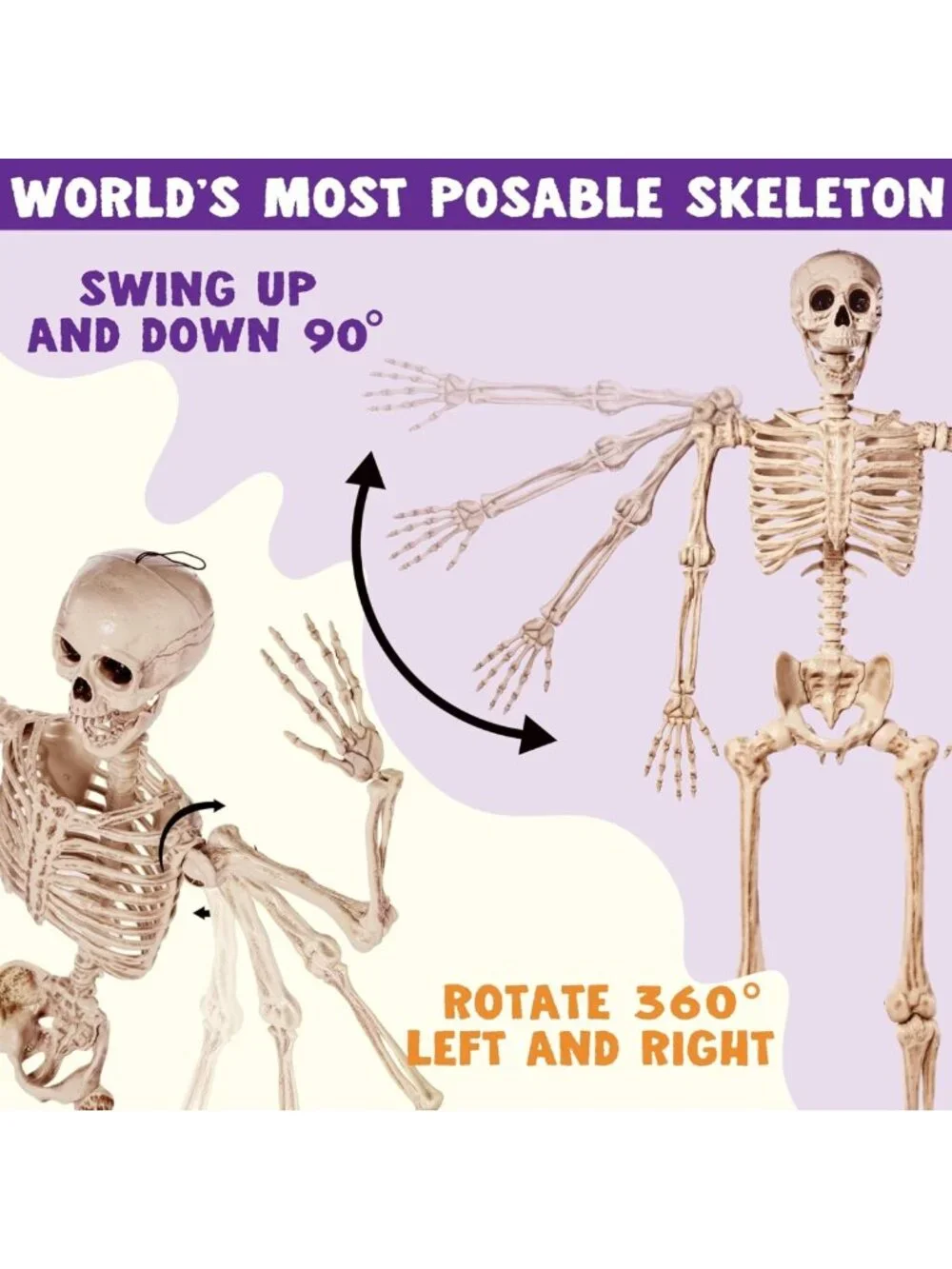 5.6 FT Life Size Posable Skeleton - Realistic Bones, Movable Joints, Halloween